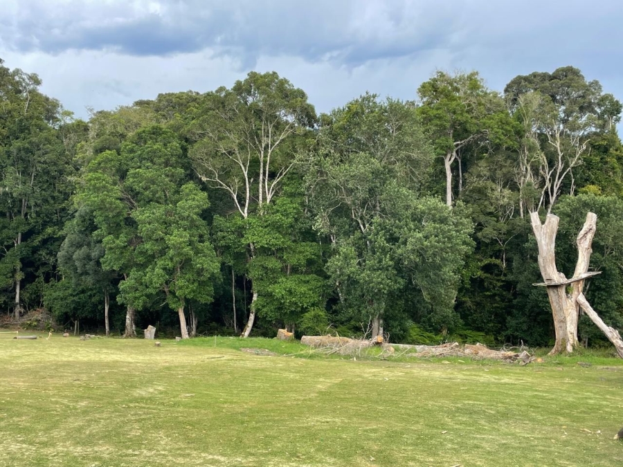 Commercial Property for Sale in Harkerville A H Western Cape